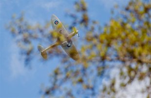 A63K5647-2 (1024 x 661).jpg