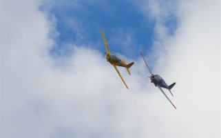 A63K5326-2 (1024 x 639).jpg