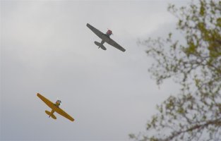 A63K5531 (1024 x 656).jpg