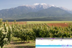 2526052416Canon EOS-1D X Mark II.jpg