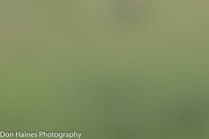 D16A6191.jpg
