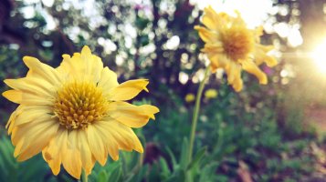 Fantasia Painting(10).jpg