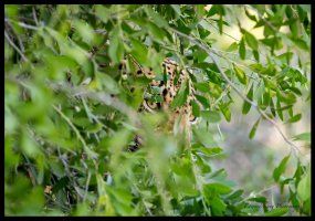 In The Eye 10.30.23 AM.jpg