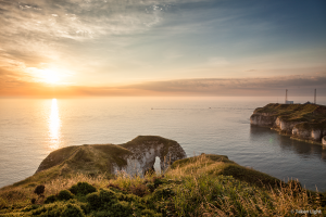 Dinosaur revised.png