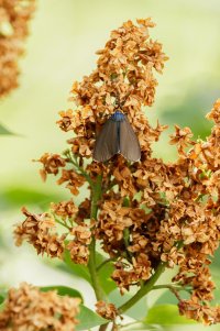_MG_9476_DxO.jpg