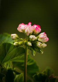 _MG_9600_DxO.jpg