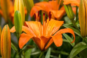 _MG_9651_DxO.jpg