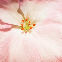 _MG_0124_DxO copy-Edit.jpg