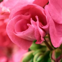 _MG_0140_DxO copy copy.jpg