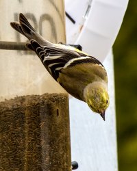 IMG_0053.jpg