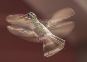 hummer slow mo hotel.jpg