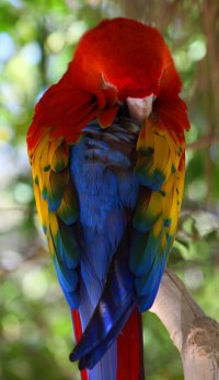 Crayola - IMG_2974.jpg