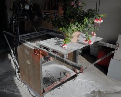 Unique flower shot_33467.JPG