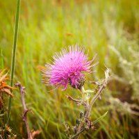 _DSF0407 copy copy.jpg