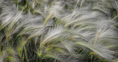 DSCF4589 copy copy.jpg