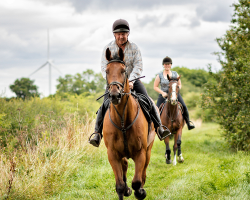 IMG_2353XX 2000 srgb.png