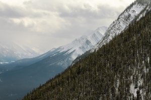_MG_9300_DxO.jpg
