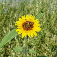 _DSF0683-Edit copy copy.jpg