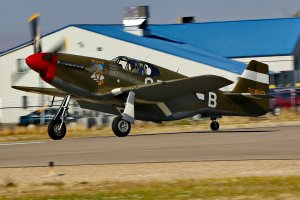 Boise Bee Landing 082716 small.jpg