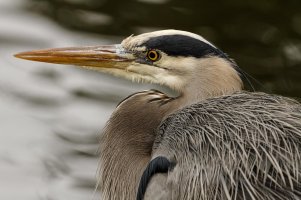 _MG_7234_DxO.jpg