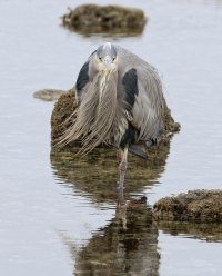 _MG_7720_DxO_DxO.jpg