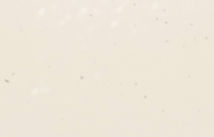 Screen Shot 2016-08-30 at 11.11.37 AM.png