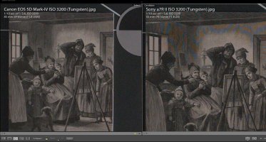 DPR 5D-IV vs A7R II (moire).jpg