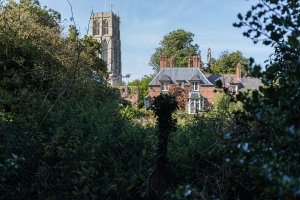 IMG_2690 1500 srgb.jpg