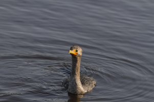 _MG_5686_DxO.jpg