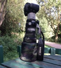 Canon_Camo_cr.JPG
