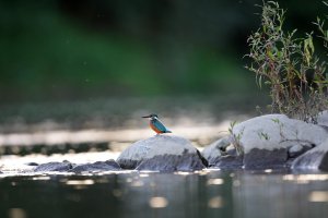 IMG_8643e.jpg