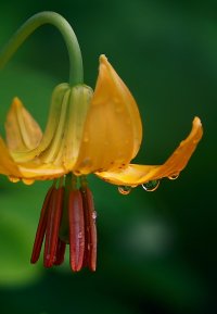 Copy of DPP_0839.JPG