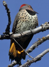 Cropped but not resized_33881.JPG