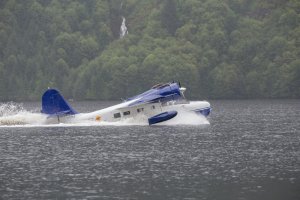 Grumman Goose-103.JPG