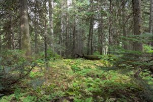 _DSF1550-Edit (1)-Exposure.jpg