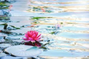 _DSF0984 copy-Edit.jpg