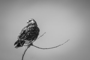 IMG_6102.jpg