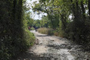 Exposed HDR + - 2.jpg