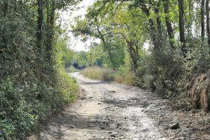 Exposed 0 light-shadow PS.jpg