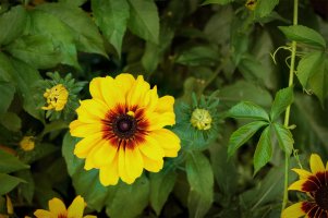 _DSF0864 copy-Edit.jpg