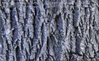 Sharpness Comparo 2.JPG