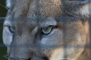 First 150-600 G2 Samples-39.jpg