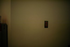 pushed 4 stops (1 of 1).jpg