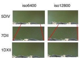 Noise - 7DII v FF w-lines.jpg