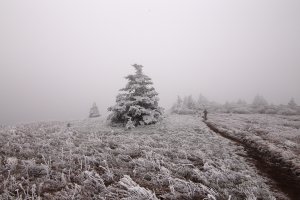 Remember... resized.JPG