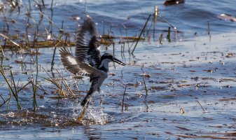 0098 5DM3_2016_07_10_6300.jpg