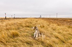 _MG_2157-Edit 16-22-33-611.jpg