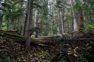 _DSF1533 copy-Edit.jpg