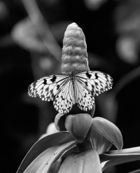 _MG_5162_DxO (1).jpg