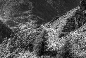 Screen Shot 2016-11-07 at 5.17.45 PM.png